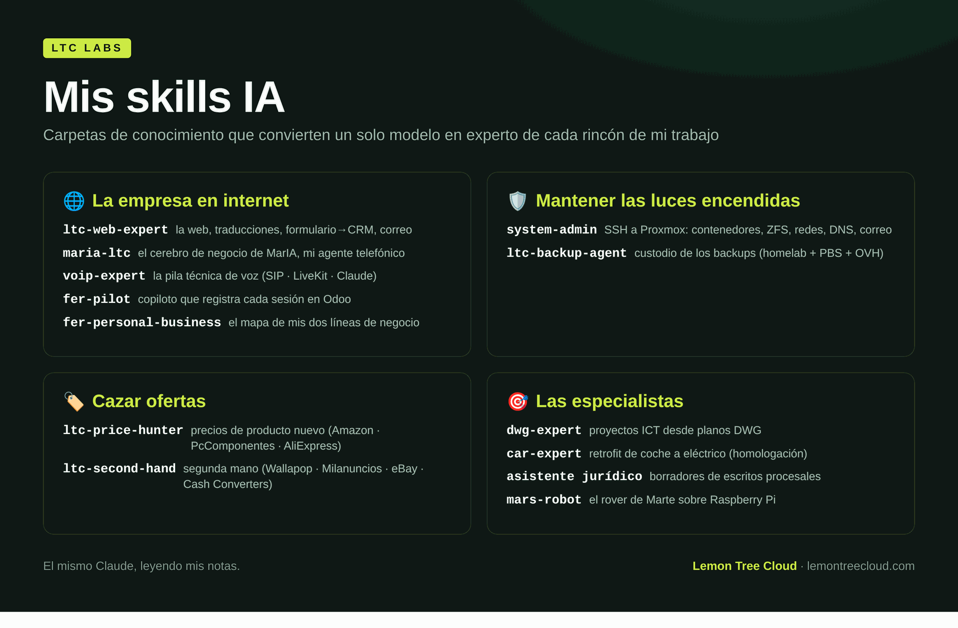 Mis skills IA agrupadas por lo que hace cada una